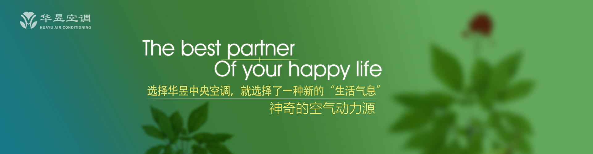 潜龙伏虎网